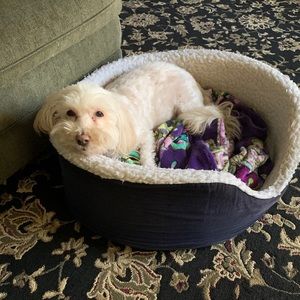 Meet your Posher, Claire